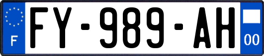 FY-989-AH