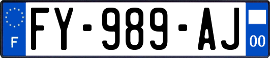 FY-989-AJ