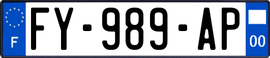 FY-989-AP