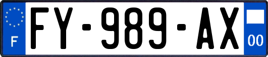 FY-989-AX