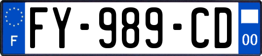 FY-989-CD