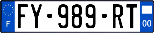 FY-989-RT