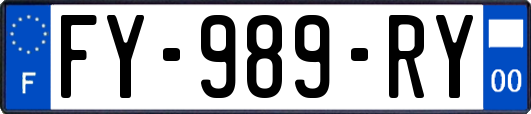 FY-989-RY