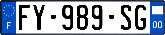 FY-989-SG