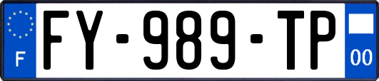 FY-989-TP