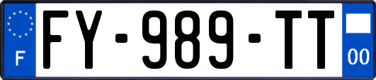 FY-989-TT
