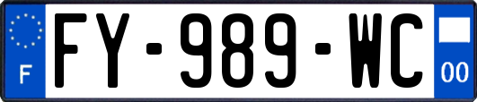 FY-989-WC