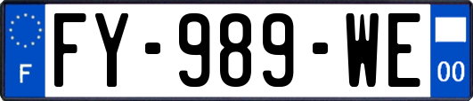 FY-989-WE