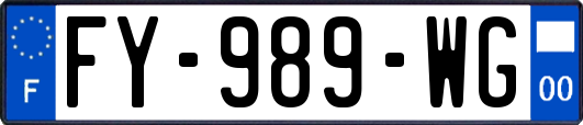 FY-989-WG