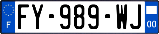 FY-989-WJ