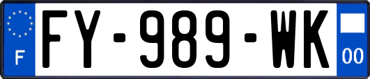 FY-989-WK