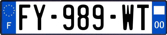 FY-989-WT