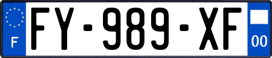 FY-989-XF