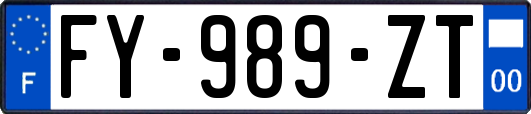 FY-989-ZT