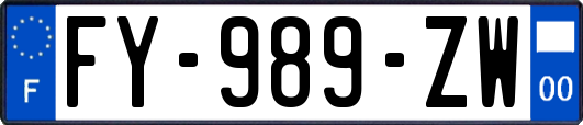 FY-989-ZW