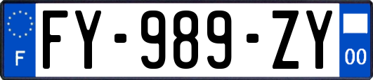 FY-989-ZY