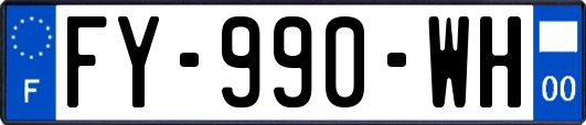 FY-990-WH