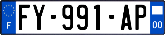 FY-991-AP