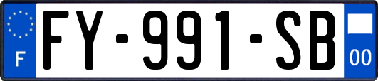 FY-991-SB