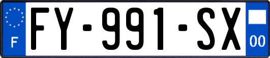 FY-991-SX