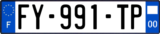 FY-991-TP