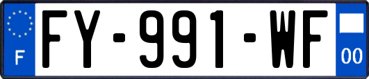 FY-991-WF
