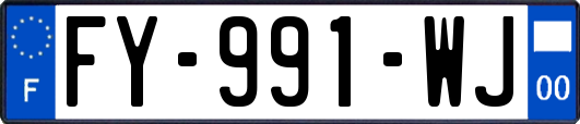 FY-991-WJ