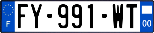 FY-991-WT