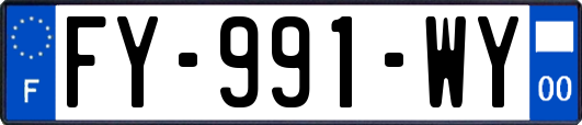 FY-991-WY