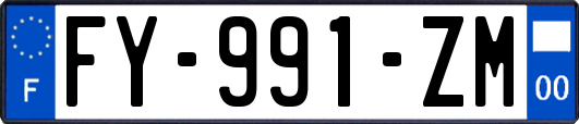 FY-991-ZM