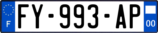 FY-993-AP