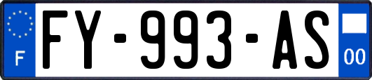 FY-993-AS