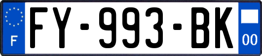 FY-993-BK
