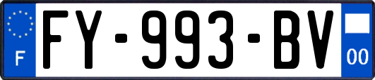 FY-993-BV