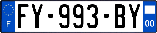 FY-993-BY
