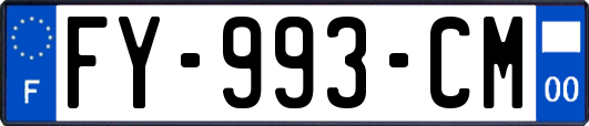 FY-993-CM