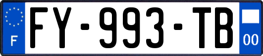 FY-993-TB
