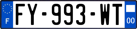 FY-993-WT