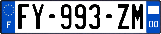 FY-993-ZM