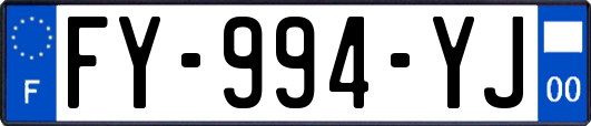 FY-994-YJ