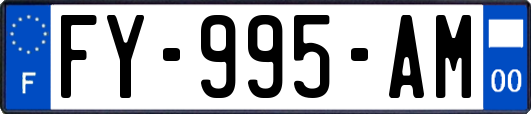 FY-995-AM