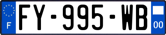 FY-995-WB