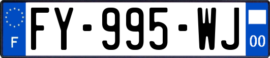FY-995-WJ