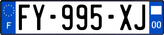 FY-995-XJ
