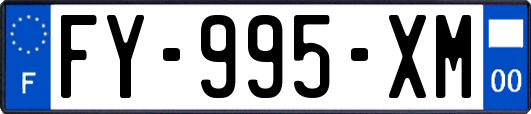 FY-995-XM