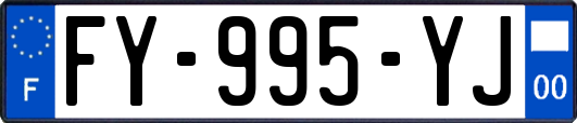 FY-995-YJ