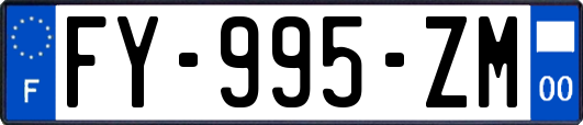 FY-995-ZM