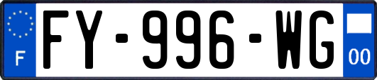 FY-996-WG