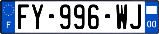 FY-996-WJ