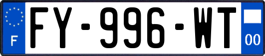 FY-996-WT